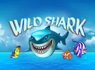 🦈Игровой автомат Wild Shark: окунись в морскую пучину🌊 с акулами