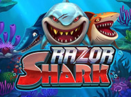 Razor Shark (Разор Шарк) – игровой автомат в Pin Up демо от Push Gaming