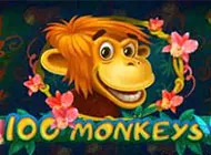 100 Monkeys