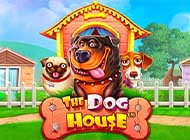 The Dog House - a licensed slot machine with instant payouts