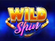Wild Spin slot machine - play for money or without deposit and registration