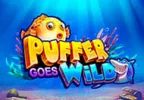 Puffer Goes WIld