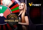 Tvbet WheelBet